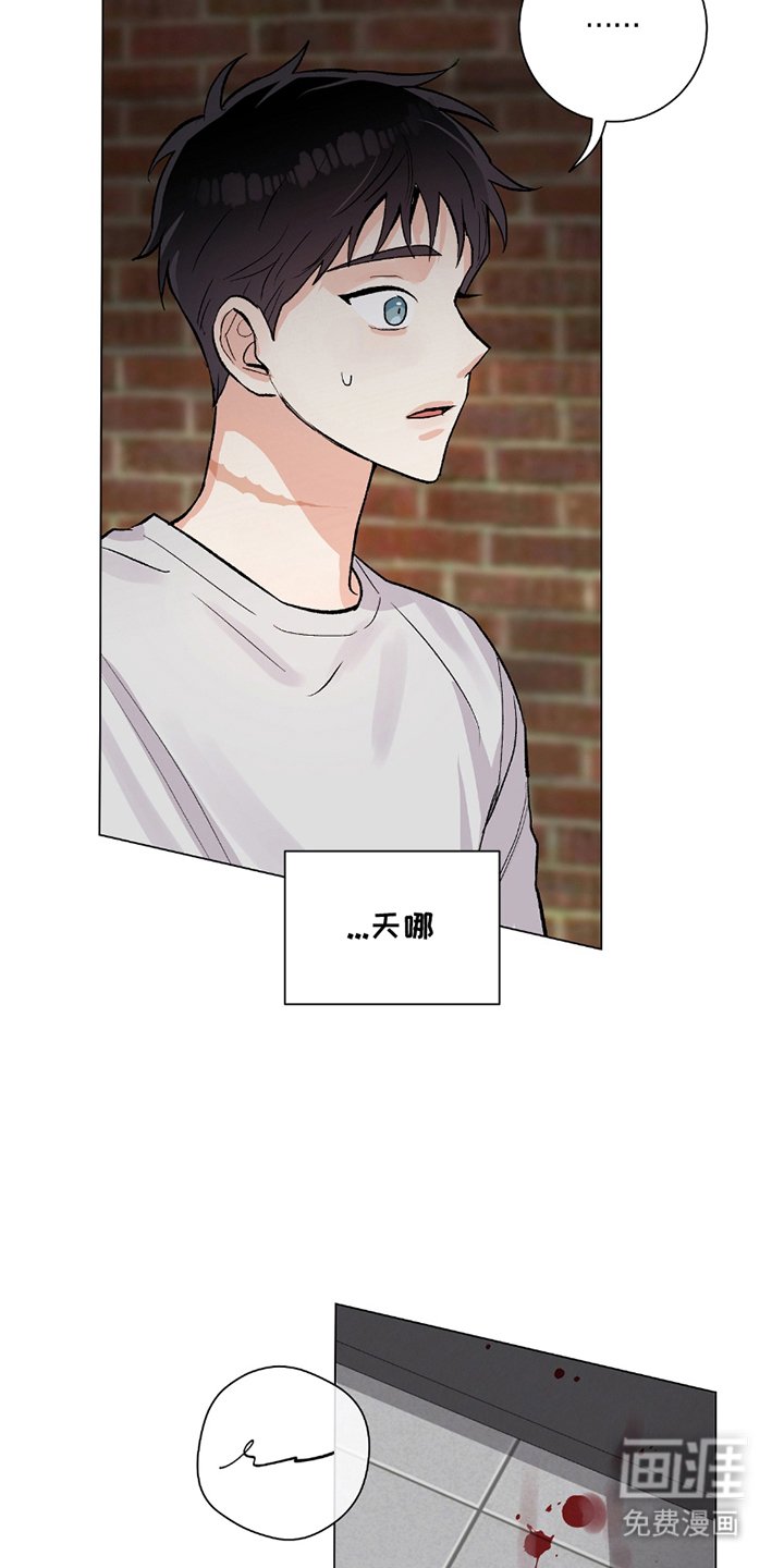 第17章：蓝图