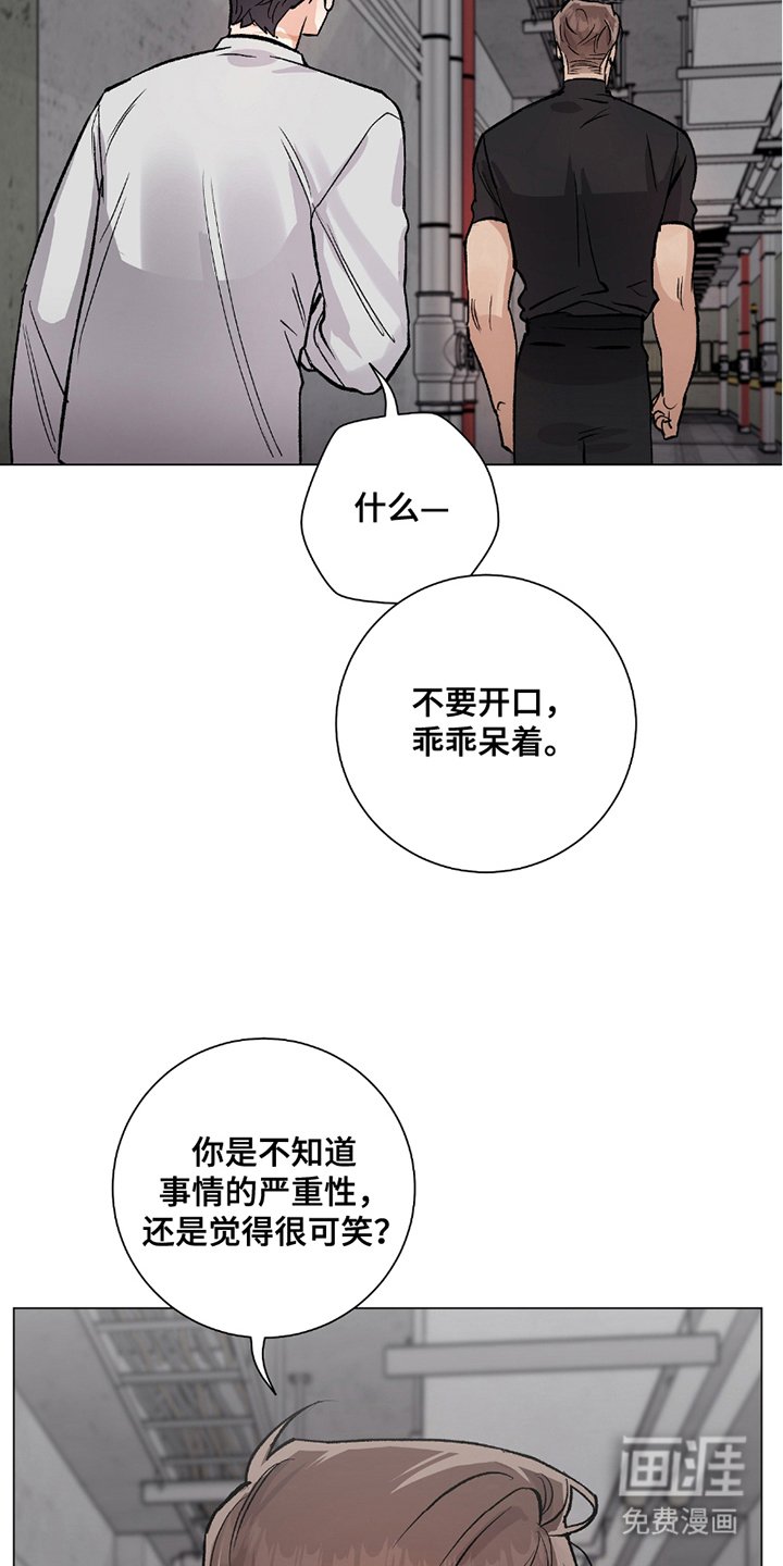 第20章：严重性
