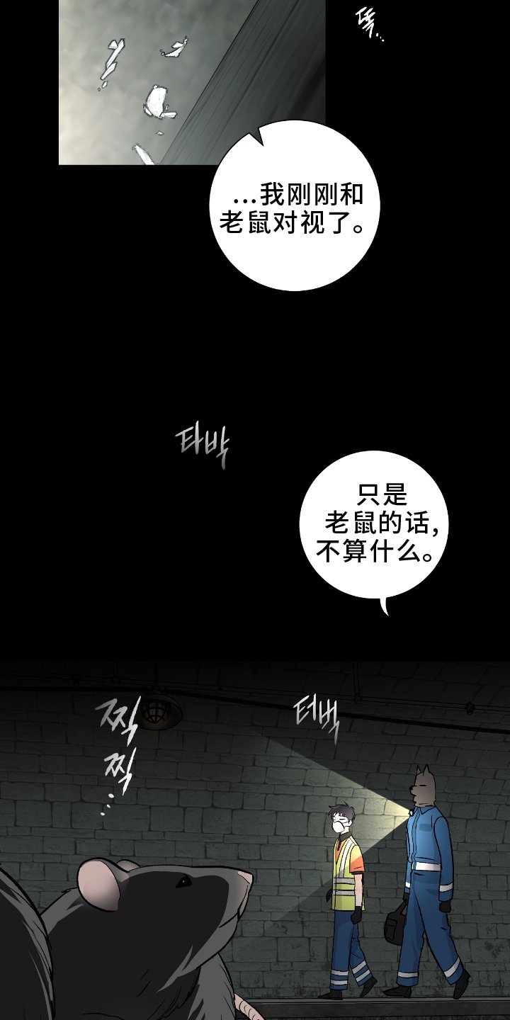 第23章：闲聊