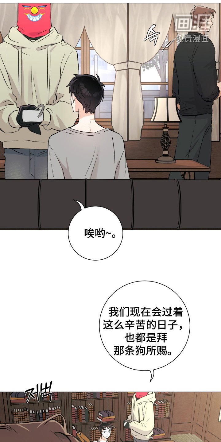 第29章：市区