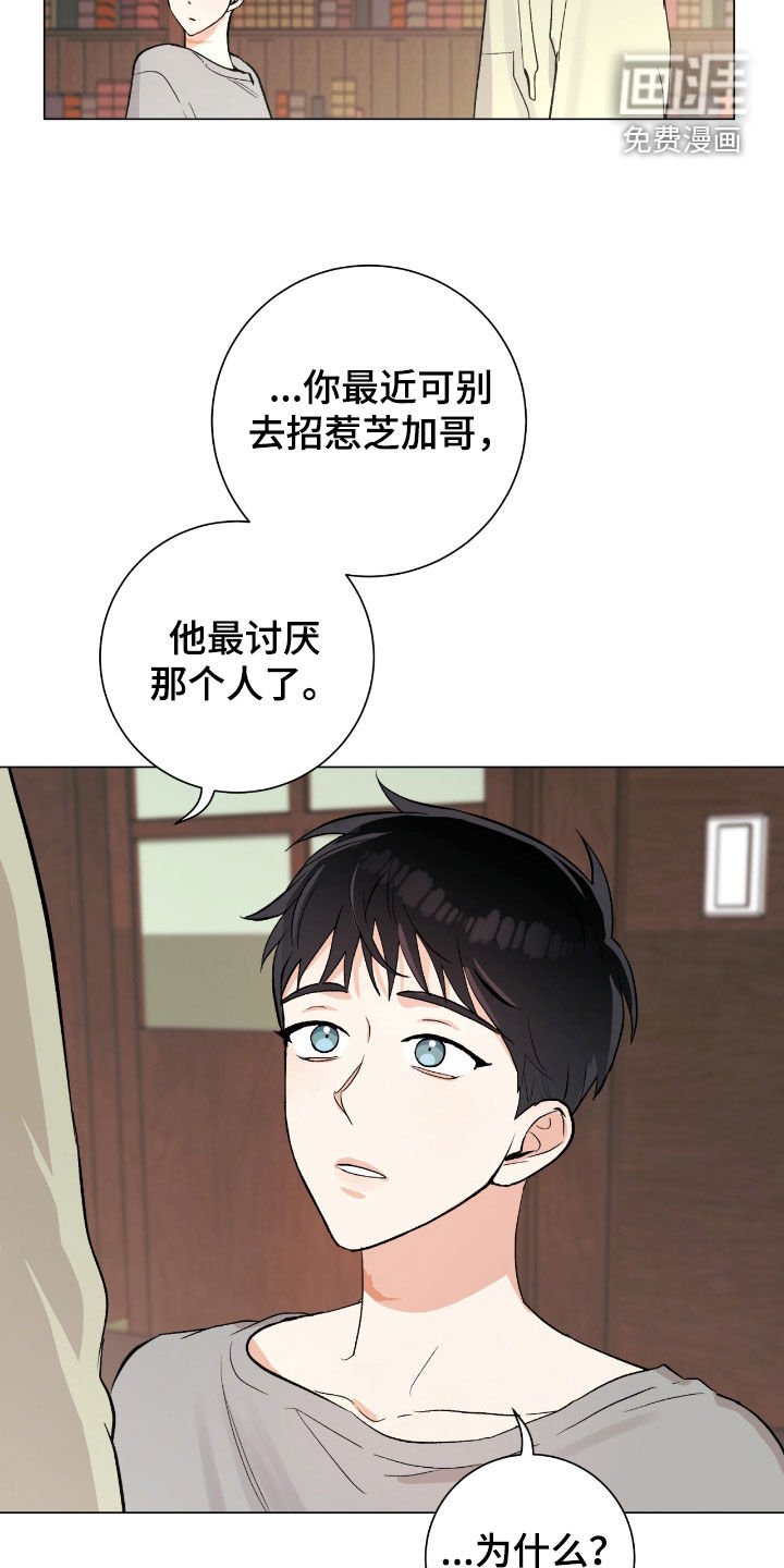 第29章：市区