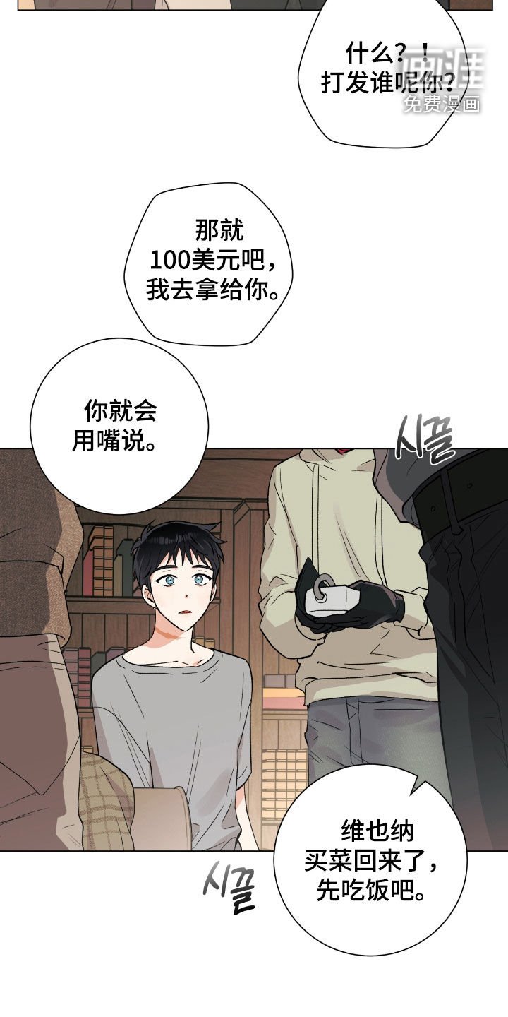 第29章：市区