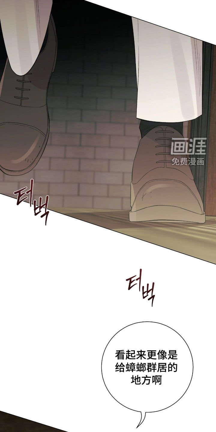 第30章：好久不见