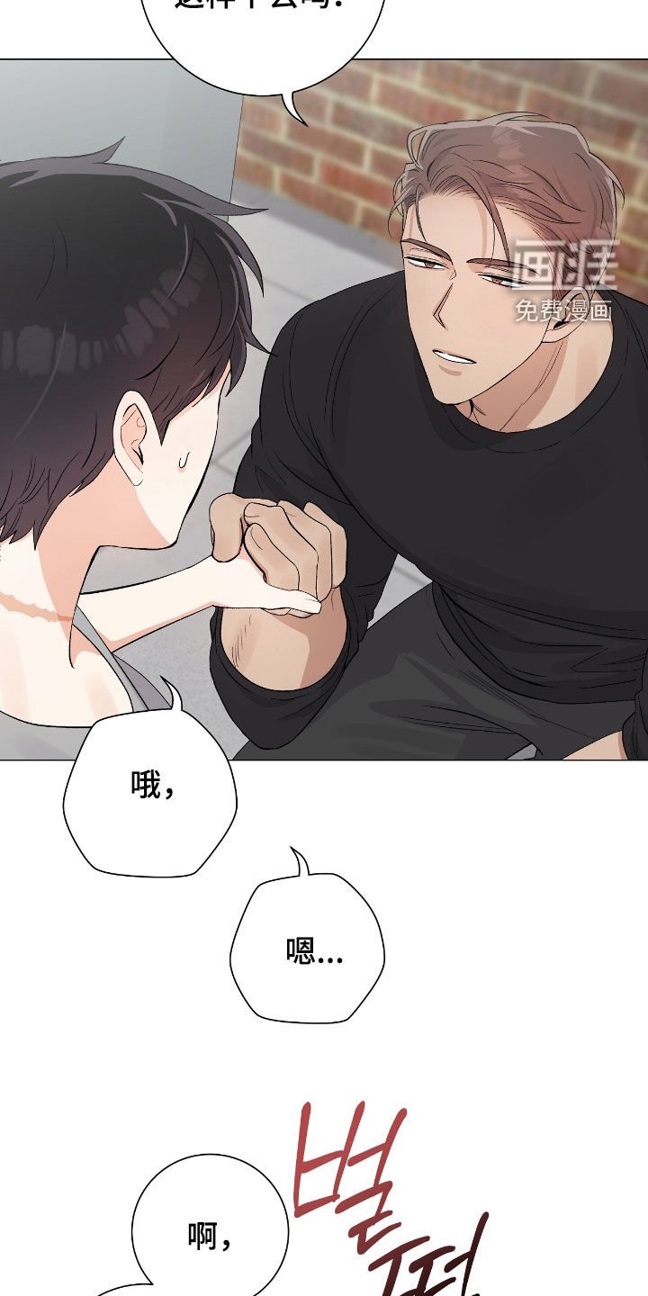 第33章：真心的吗
