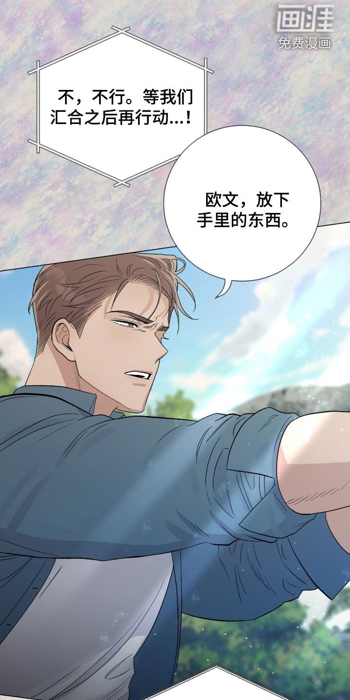 第36章：都是假的吗