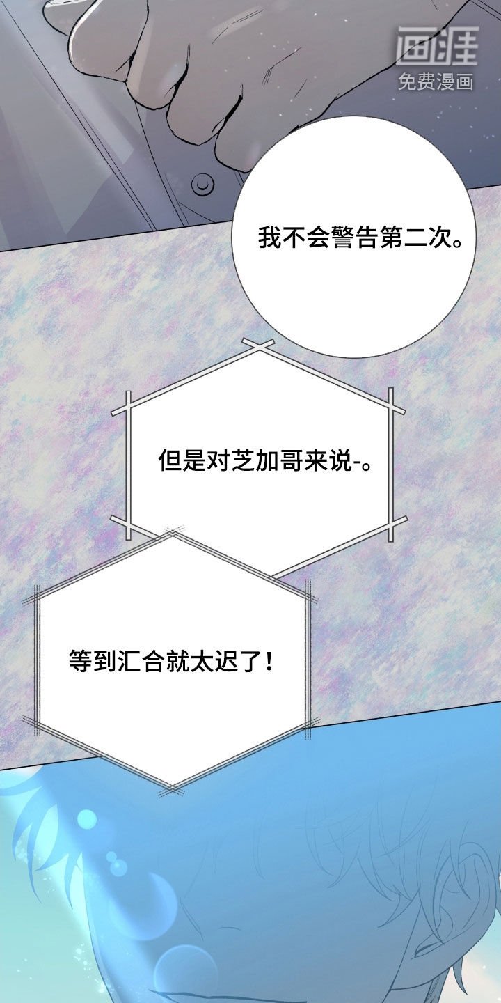 第36章：都是假的吗