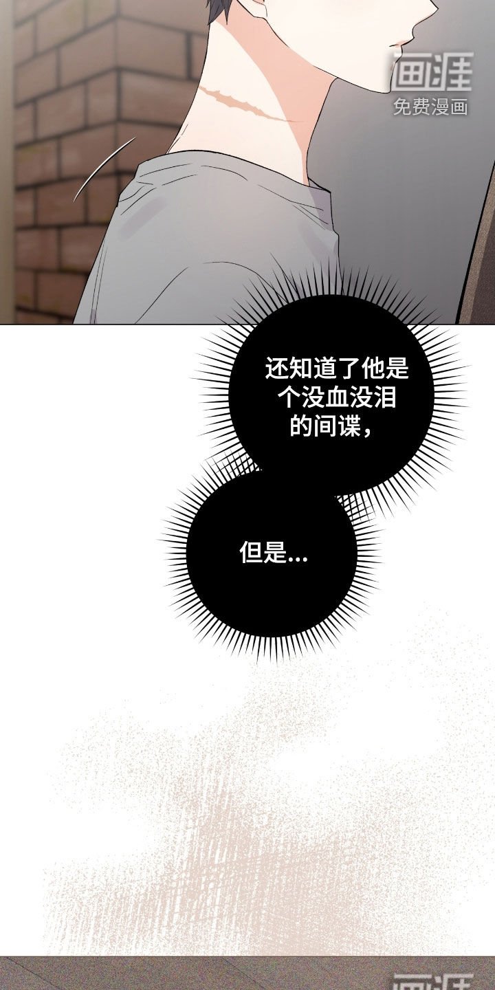 第36章：都是假的吗