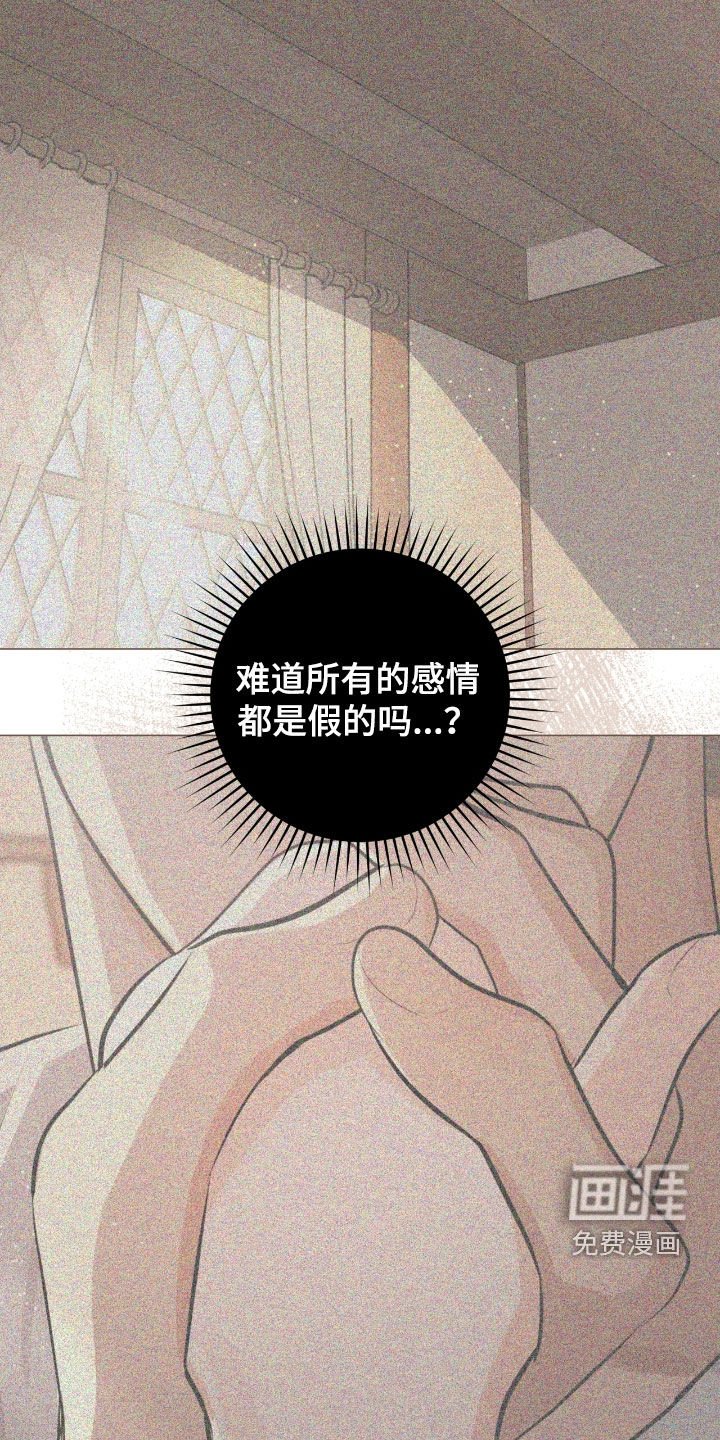 第36章：都是假的吗