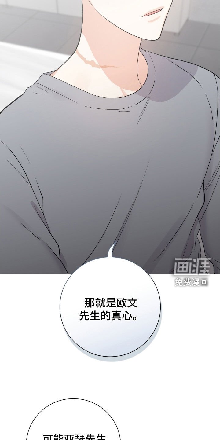第37章：真心