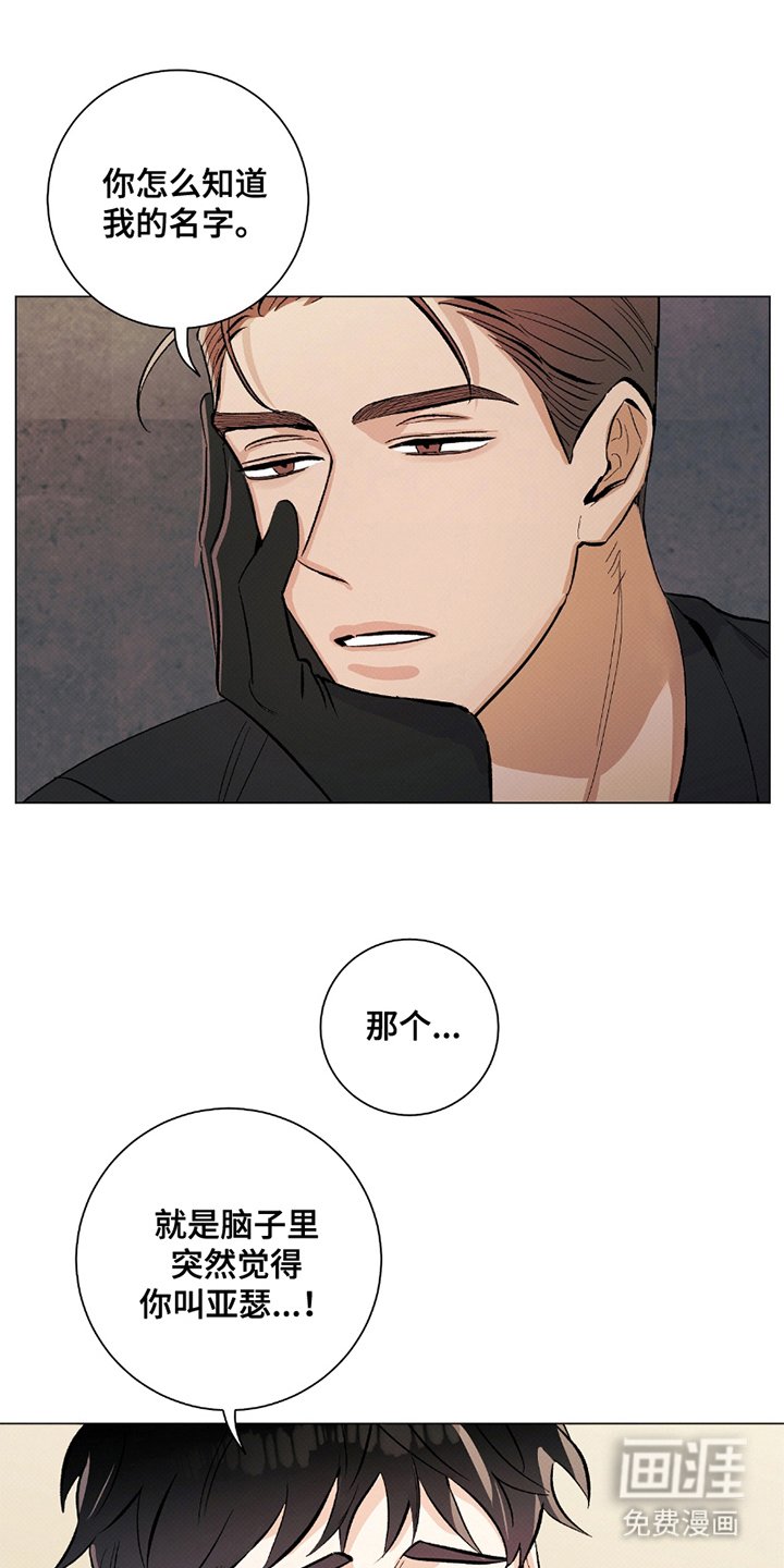 第4章：无关