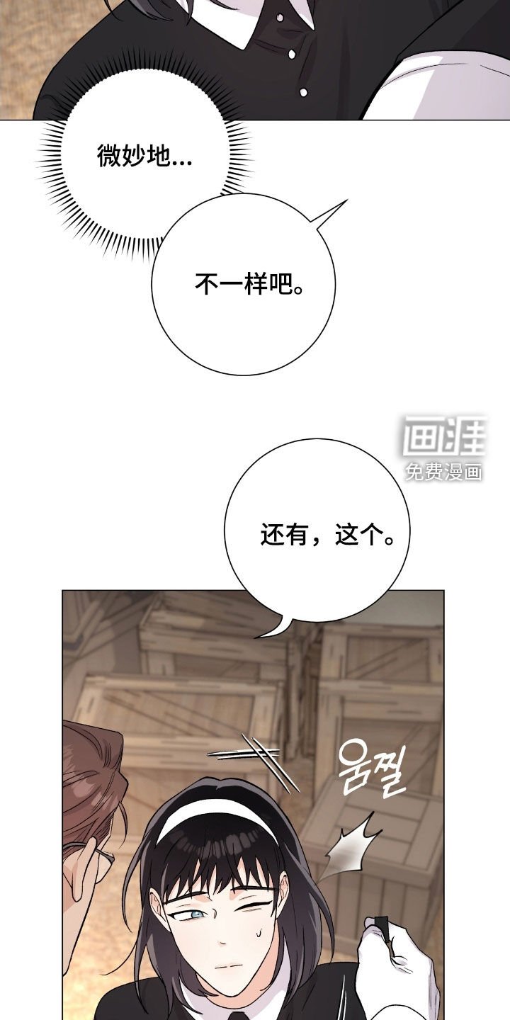第40章：大庄园