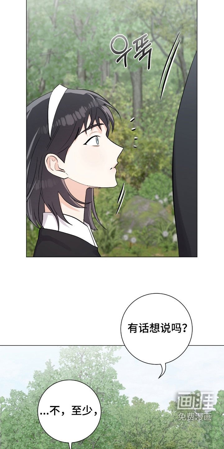 第41章：入侵