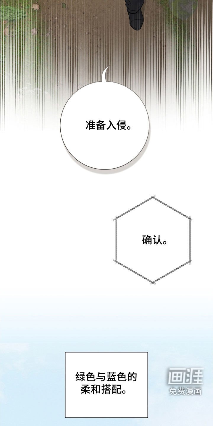 第41章：入侵