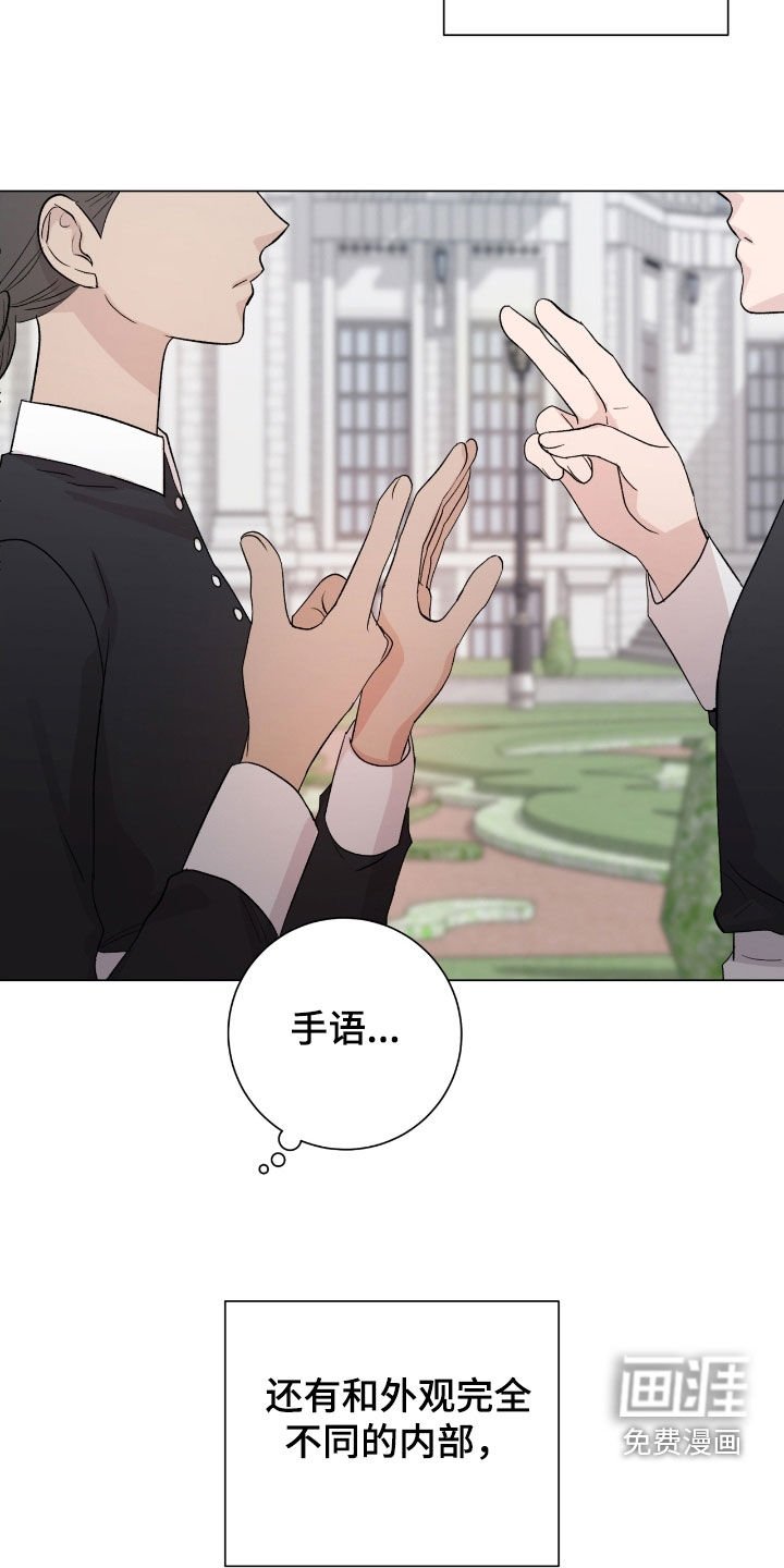 第41章：入侵