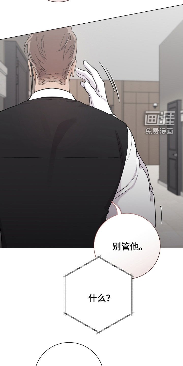 第44章：争取时间