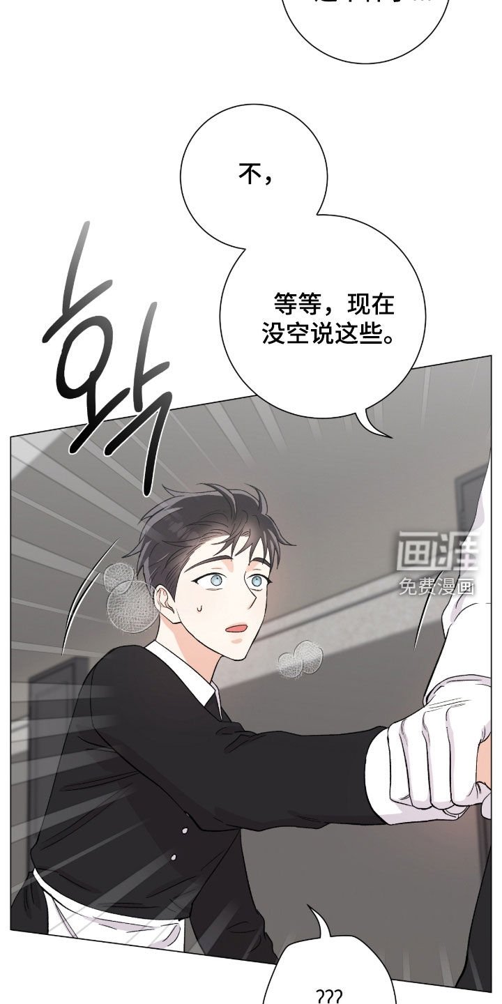 第45章：时机到了