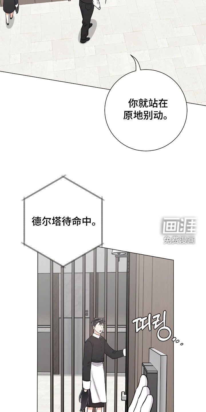 第45章：时机到了