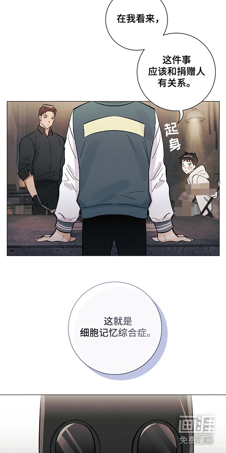 第5章：记忆综合症