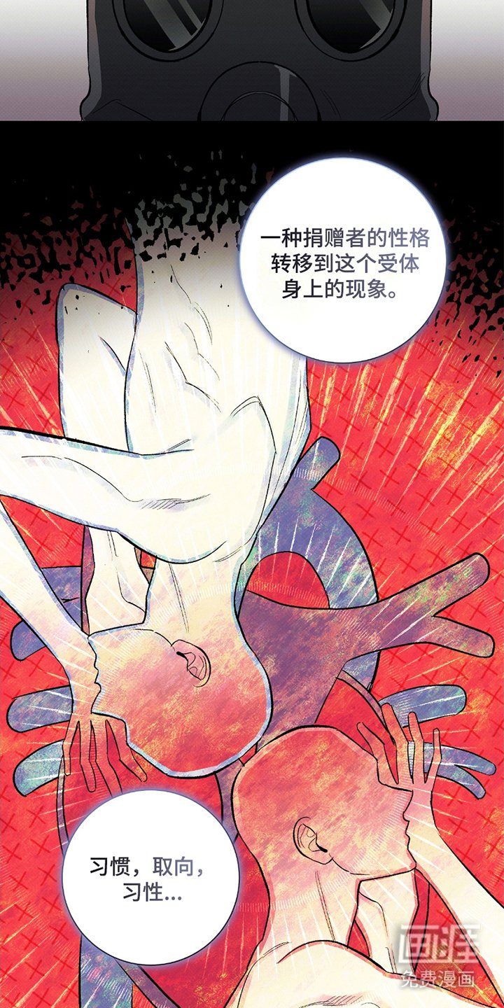 第5章：记忆综合症