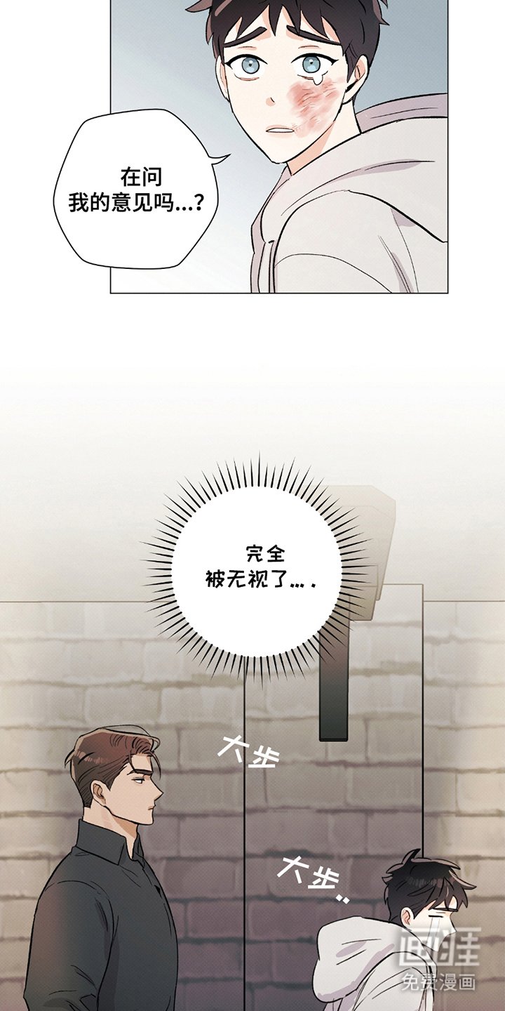 第5章：记忆综合症