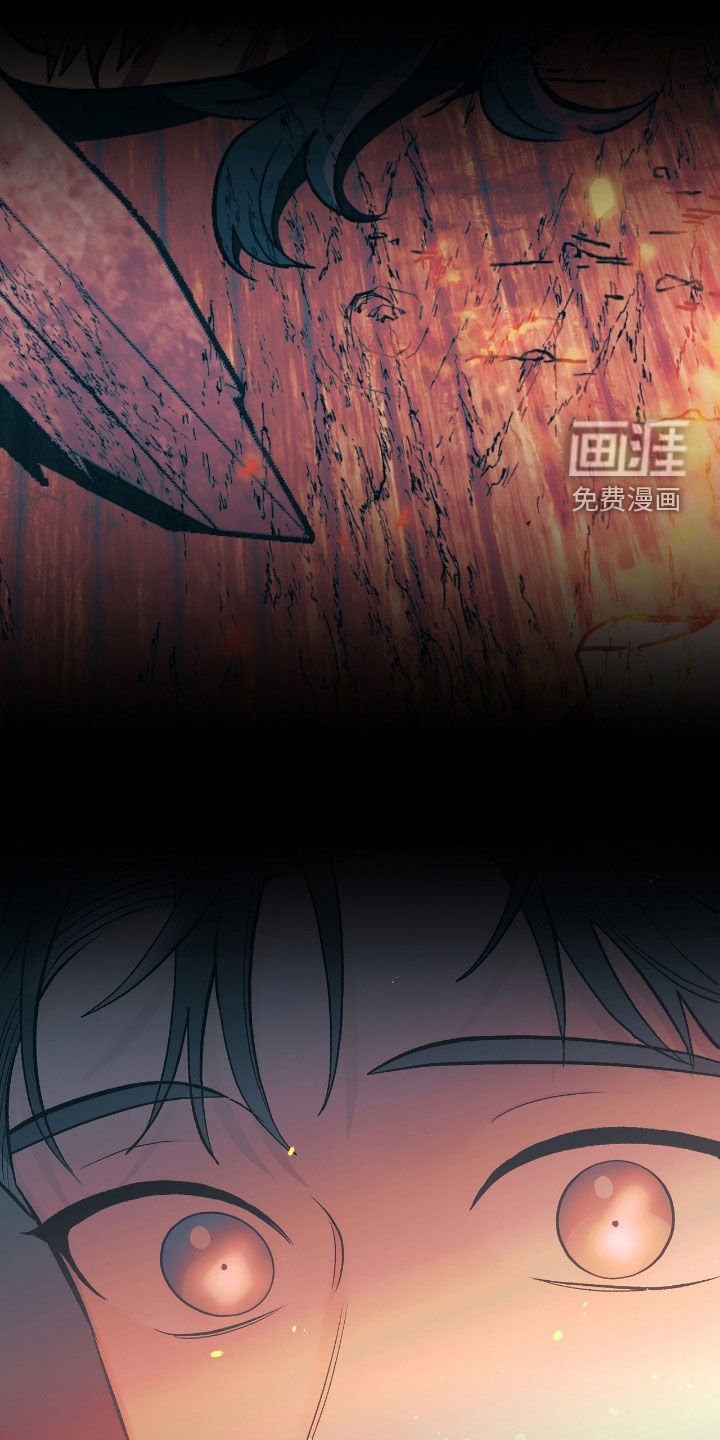 第50章：盛会