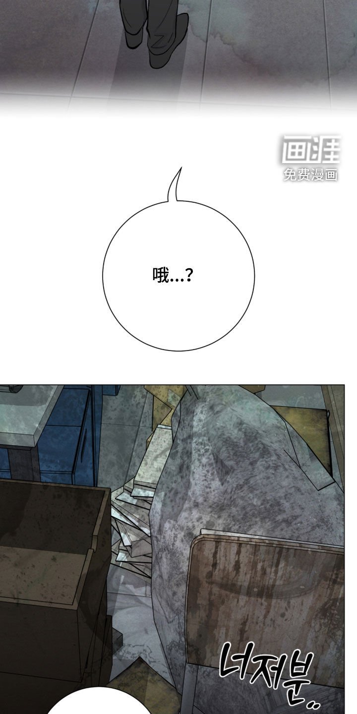 第52章：我能理解