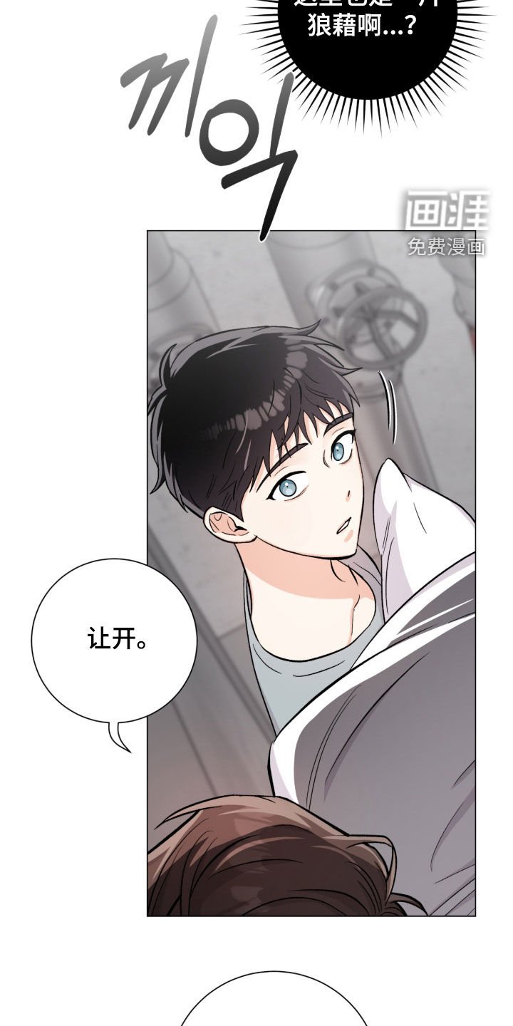 第52章：我能理解