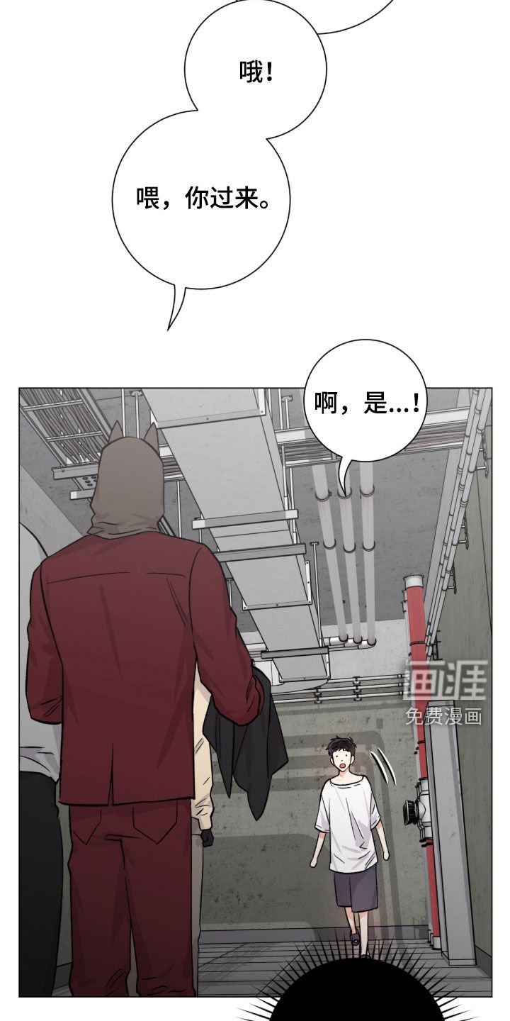 第55章：又是因为我
