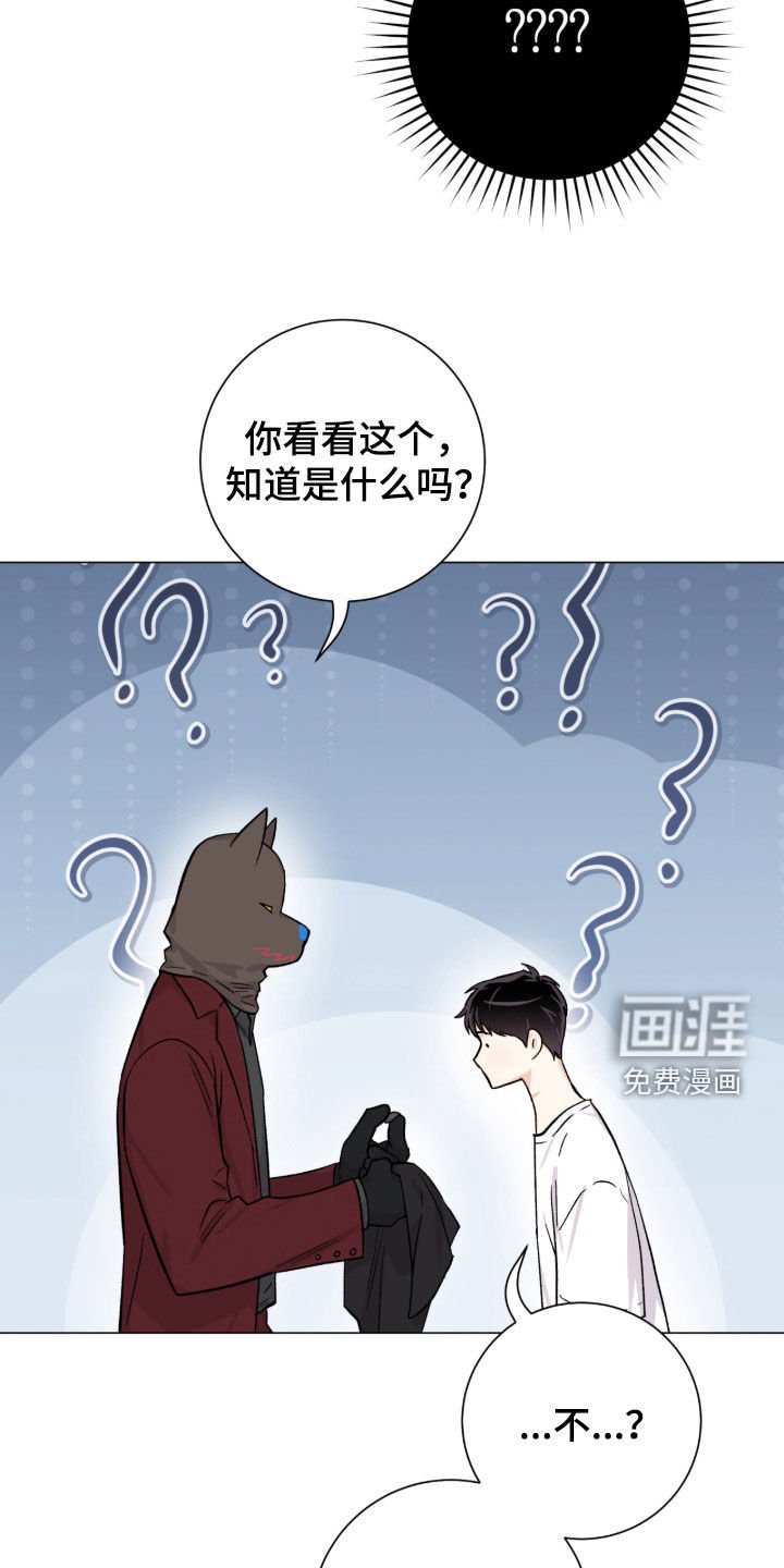 第55章：又是因为我