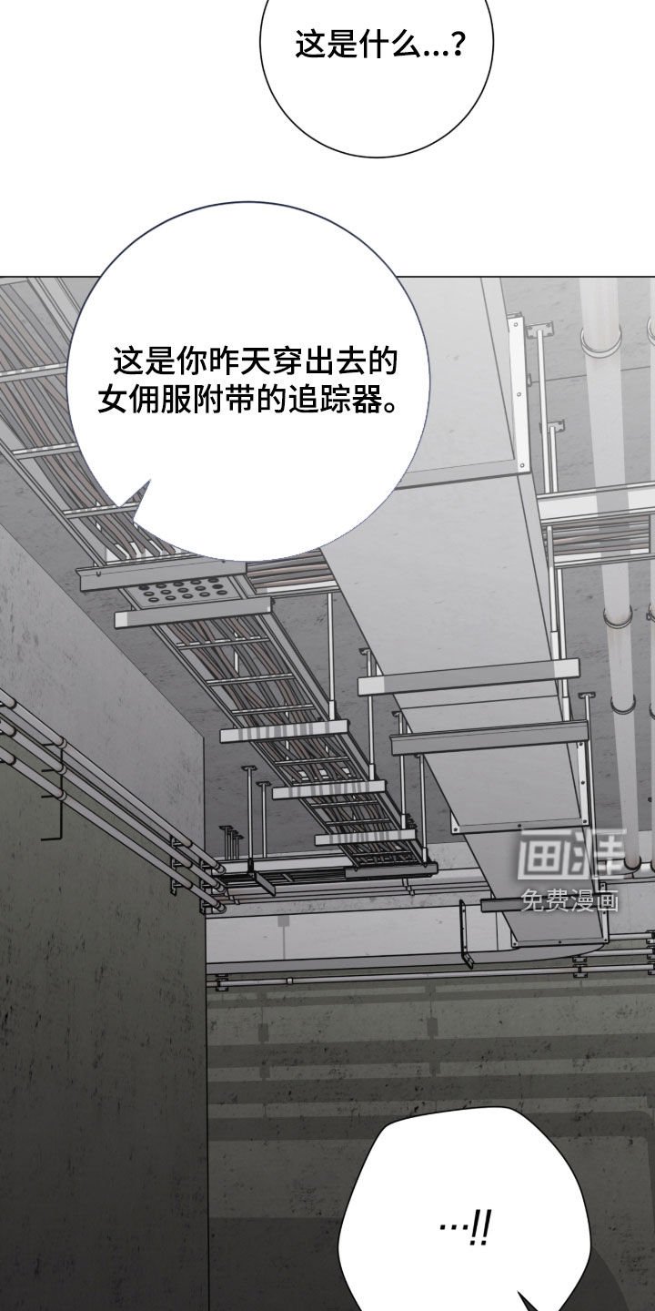 第55章：又是因为我