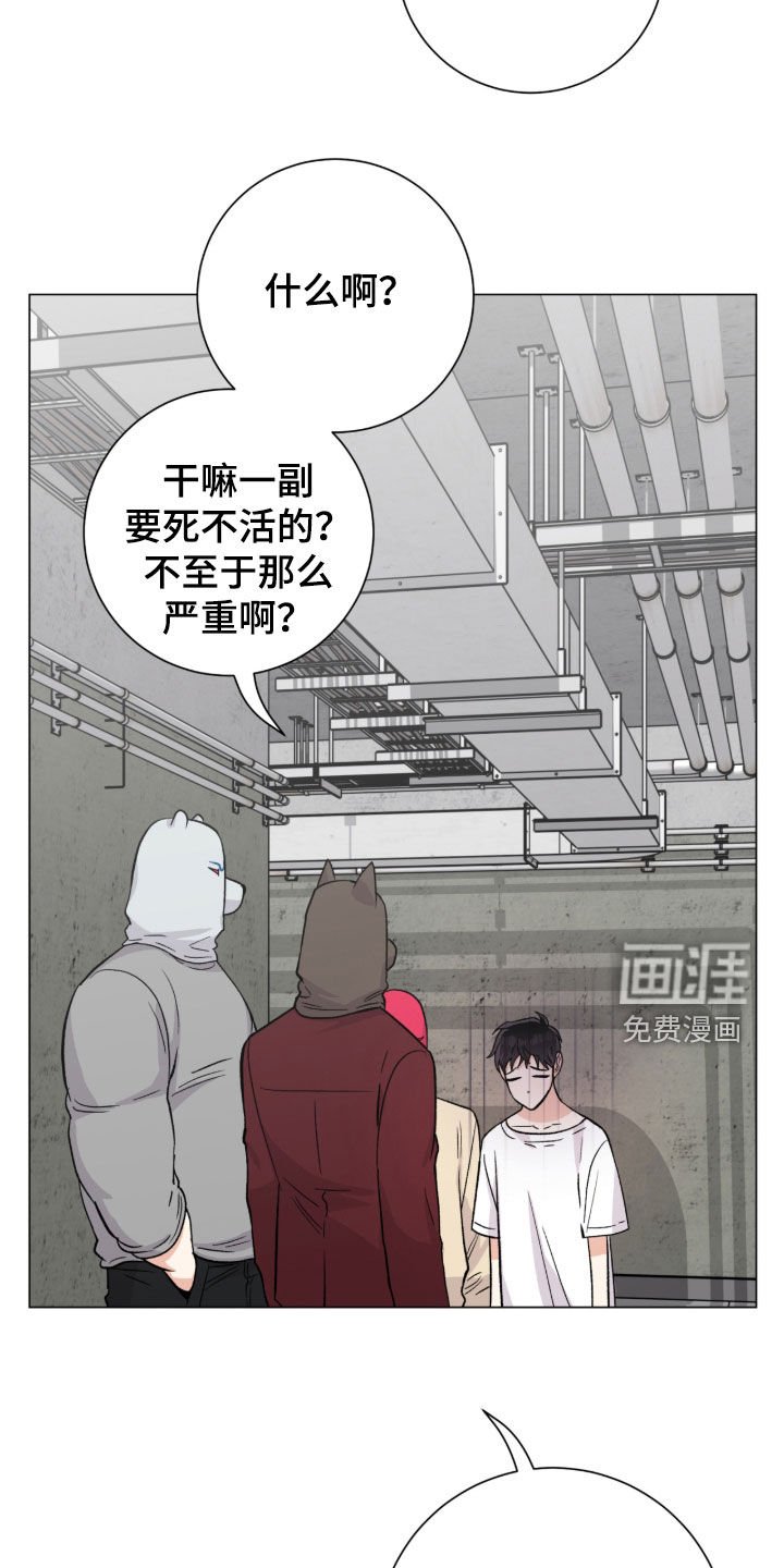 第55章：又是因为我
