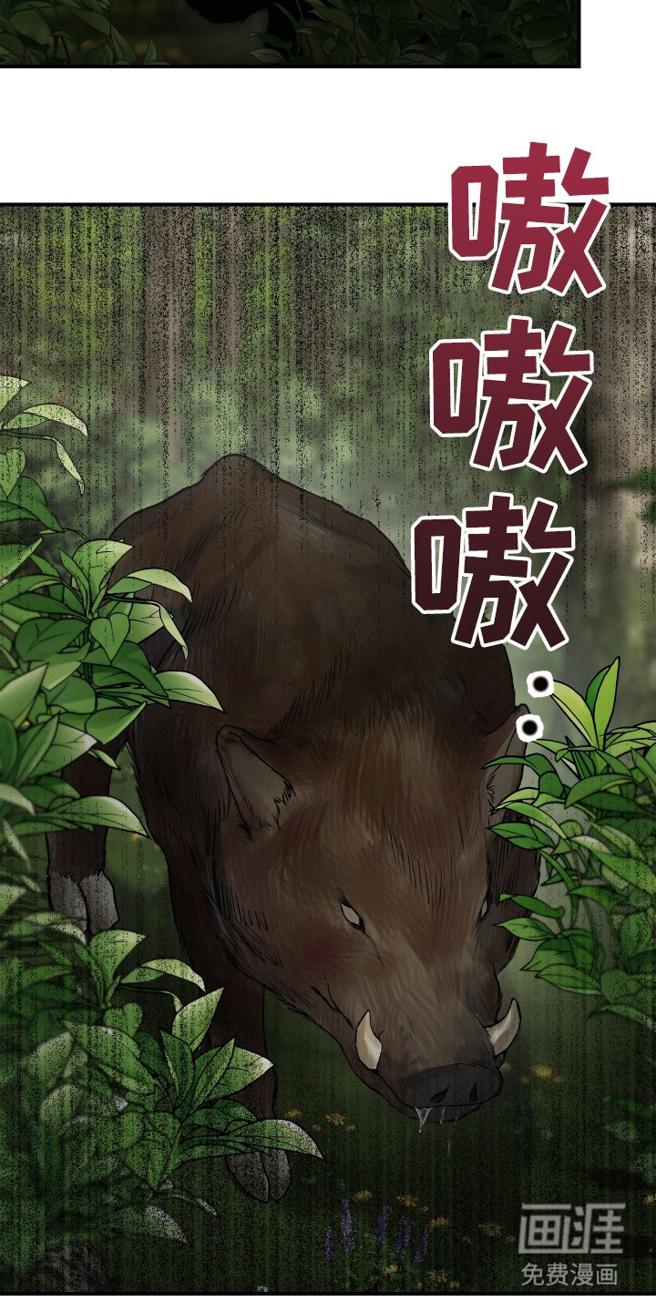 第4章：俩只箭