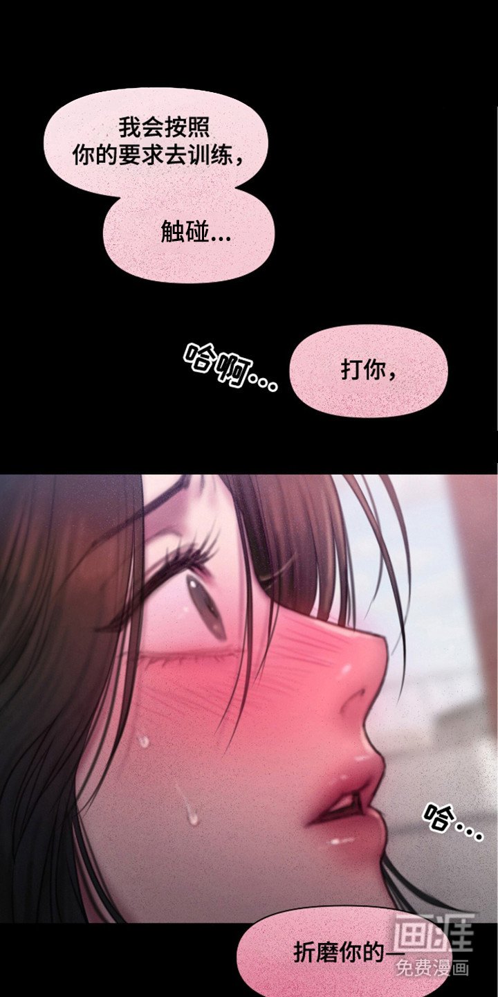 第12章：理想型