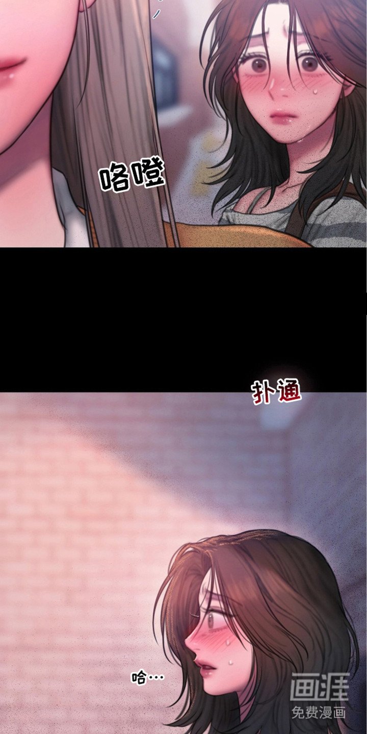 第12章：理想型