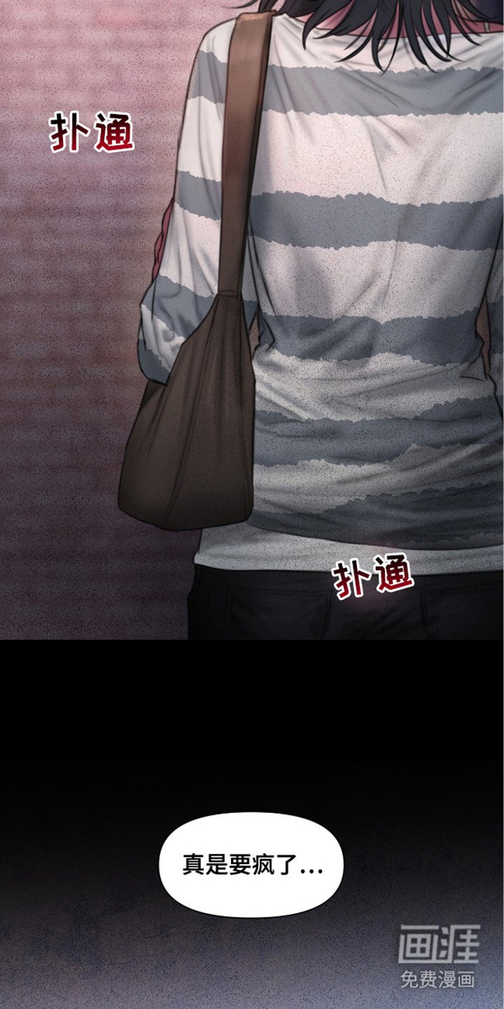 第12章：理想型