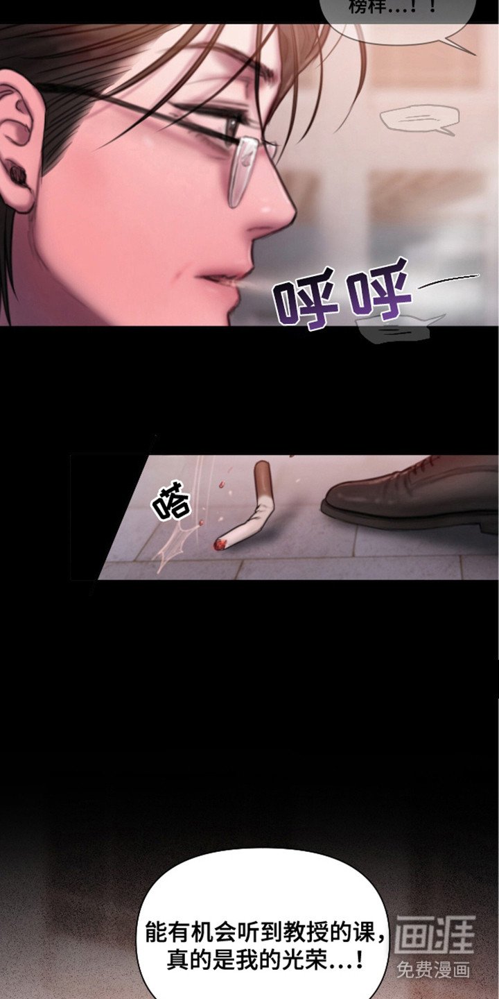 第12章：理想型