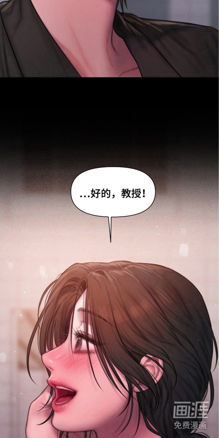 第12章：理想型