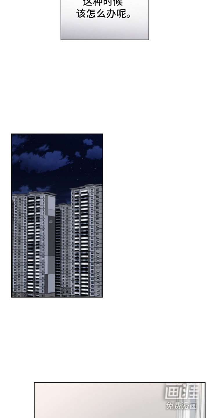 第3章：领养