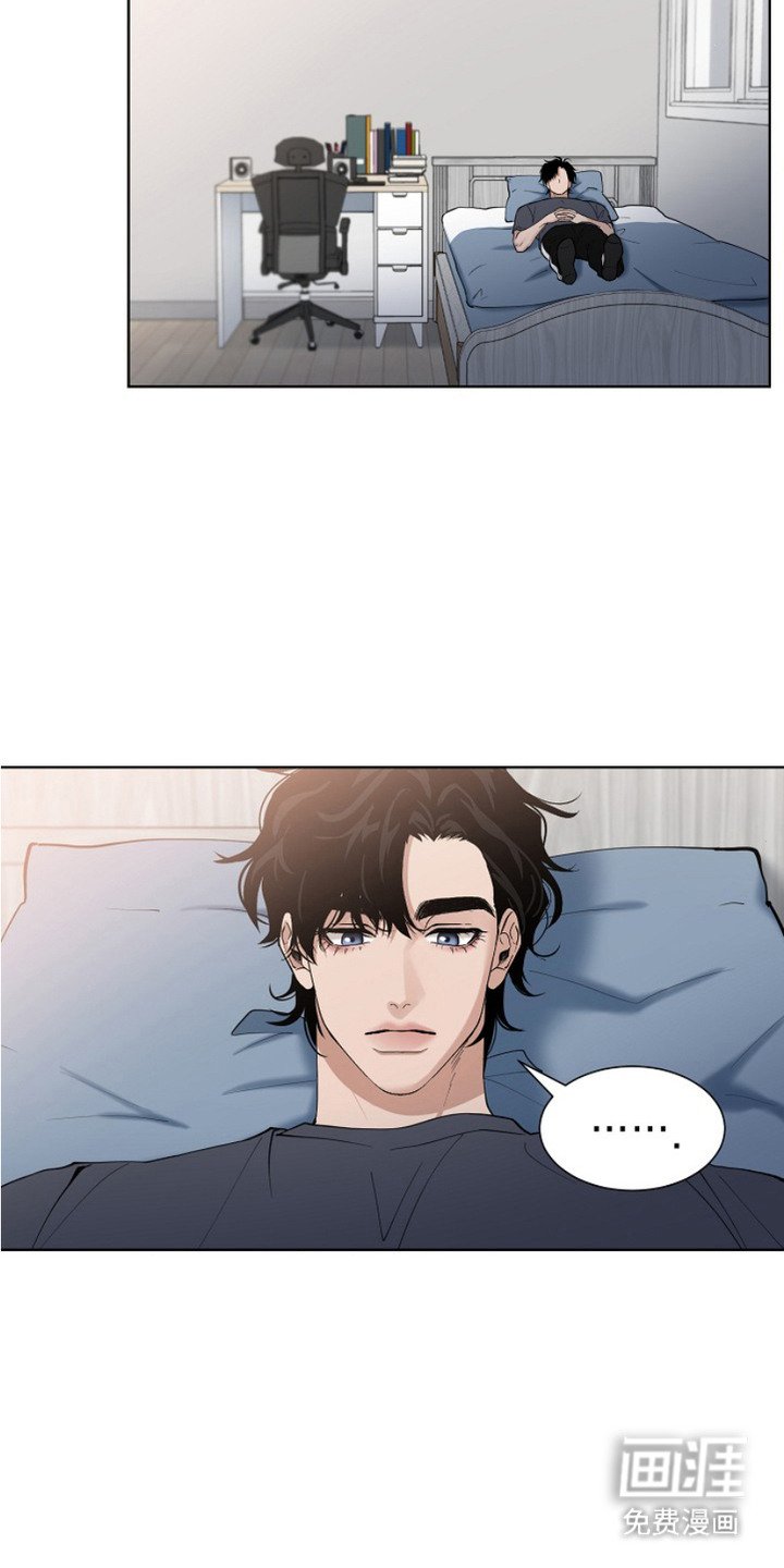 第3章：领养