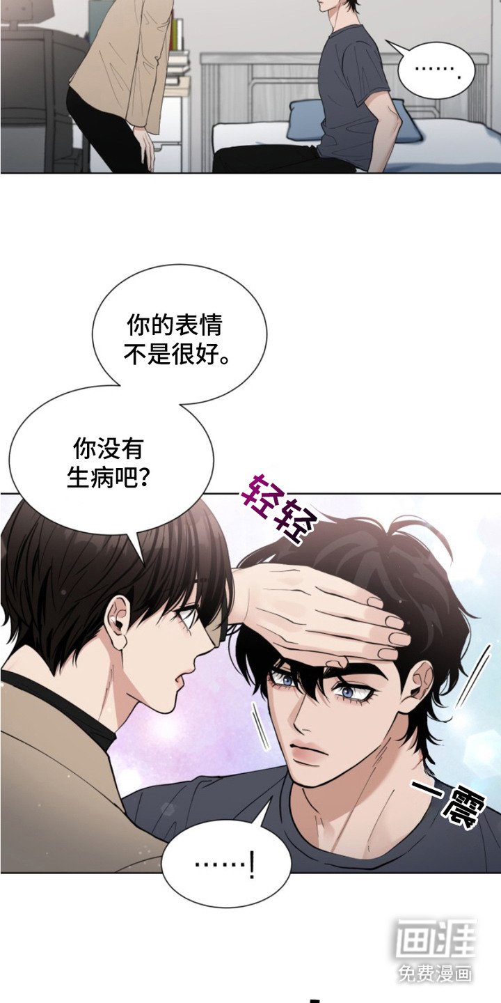 第3章：领养