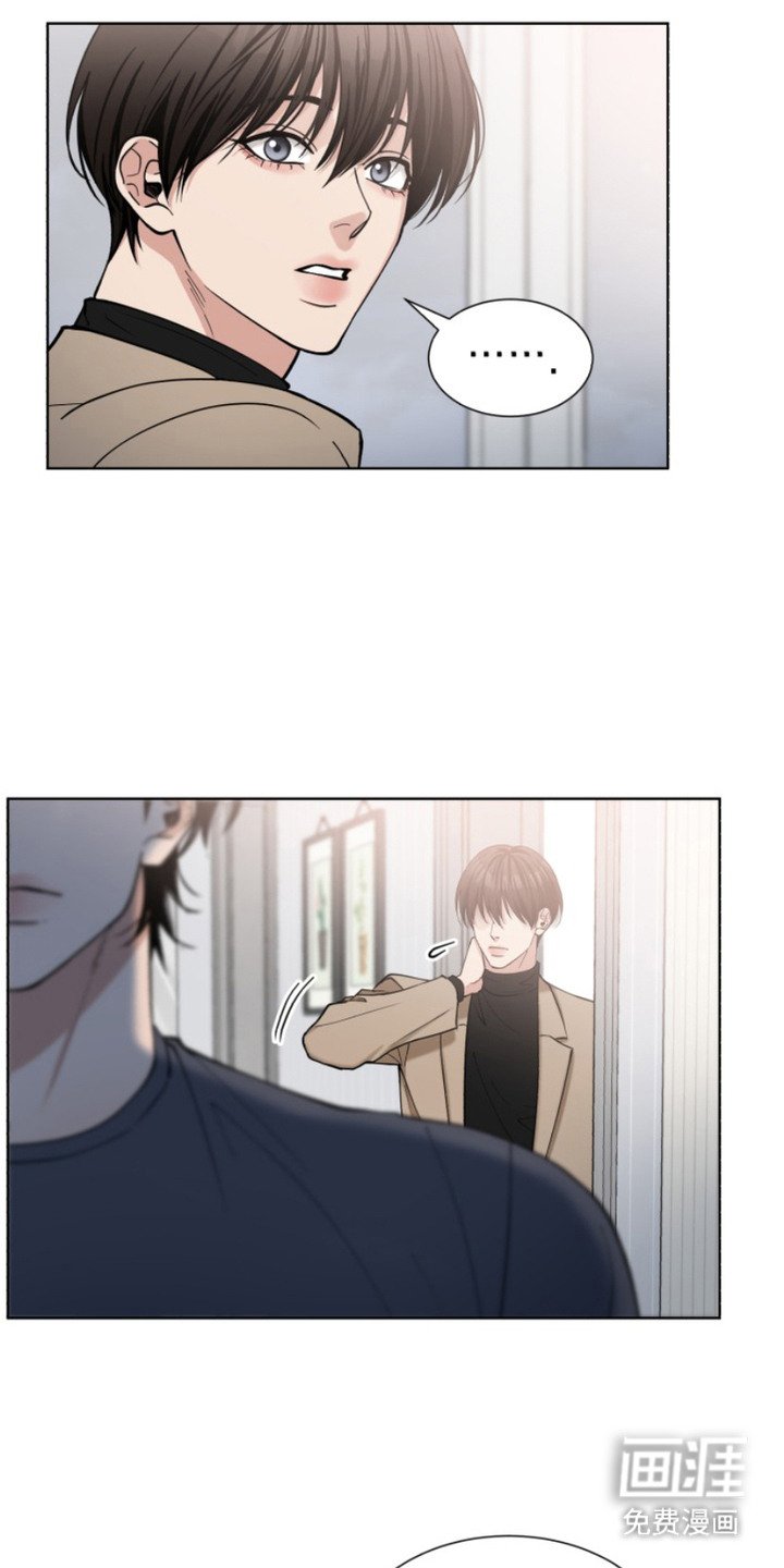 第3章：领养