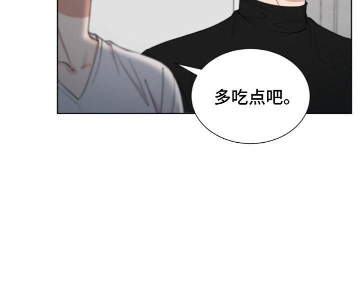 第3章：领养