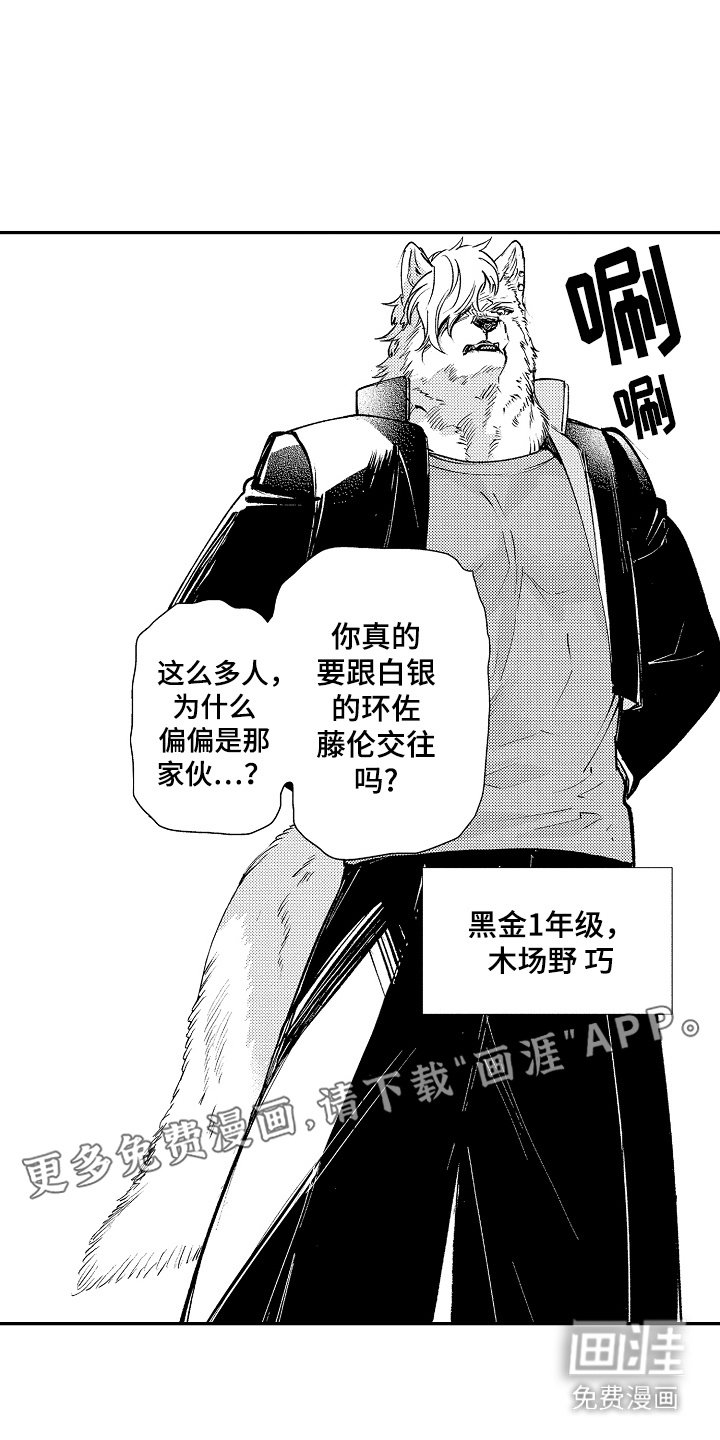 第11章：各方反应