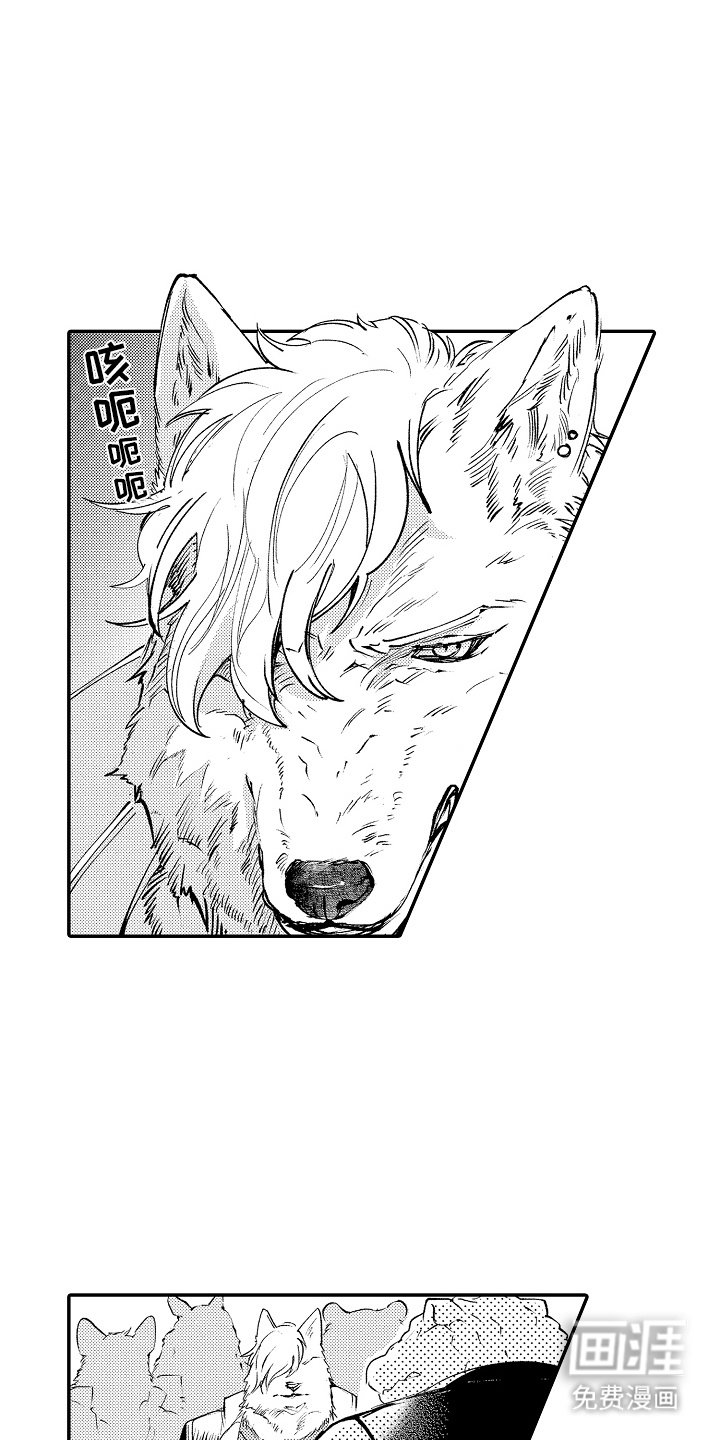 第11章：各方反应