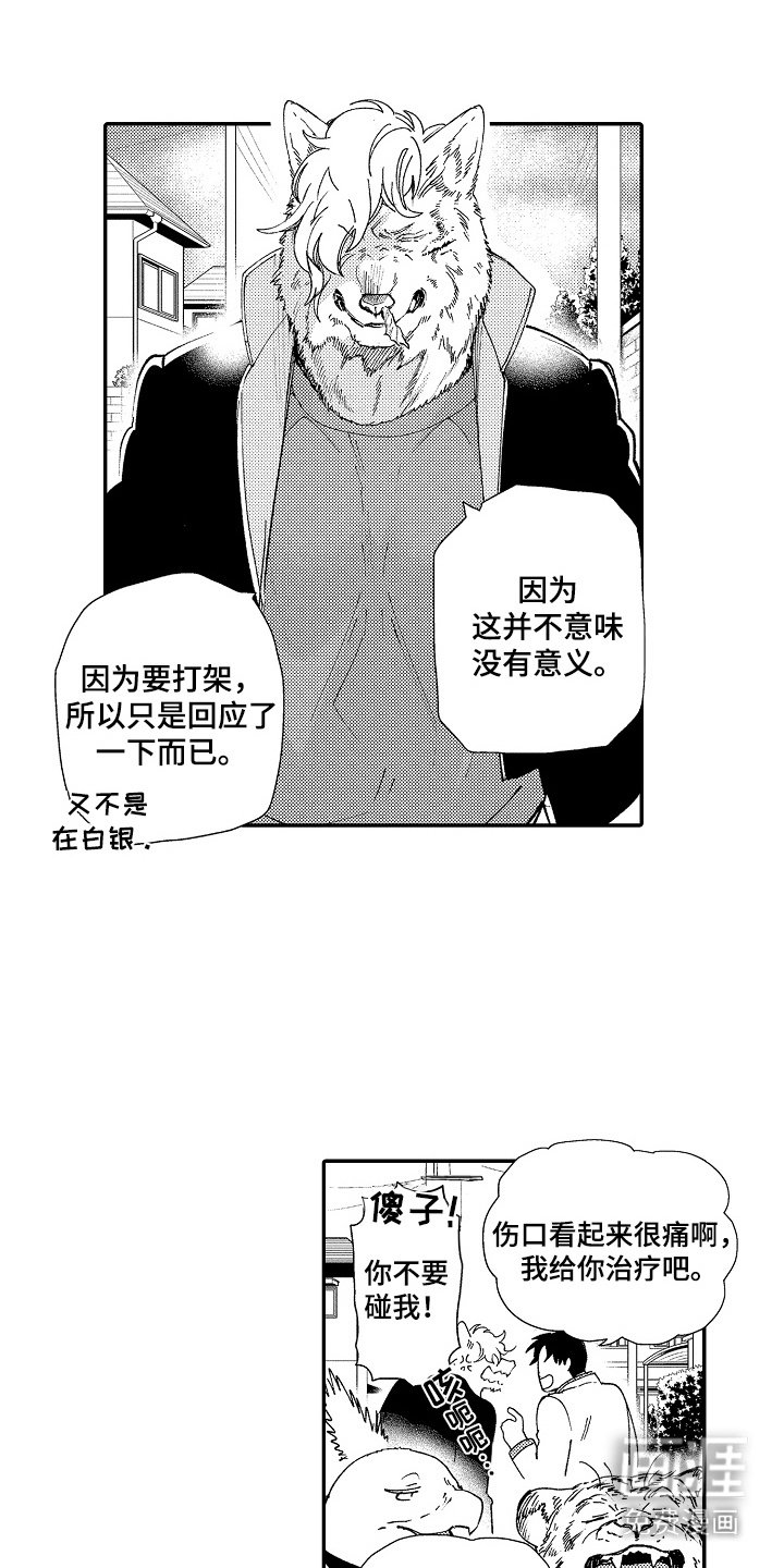 第18章：非常喜欢（完结）