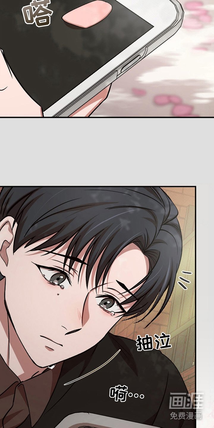 第13章：看樱花