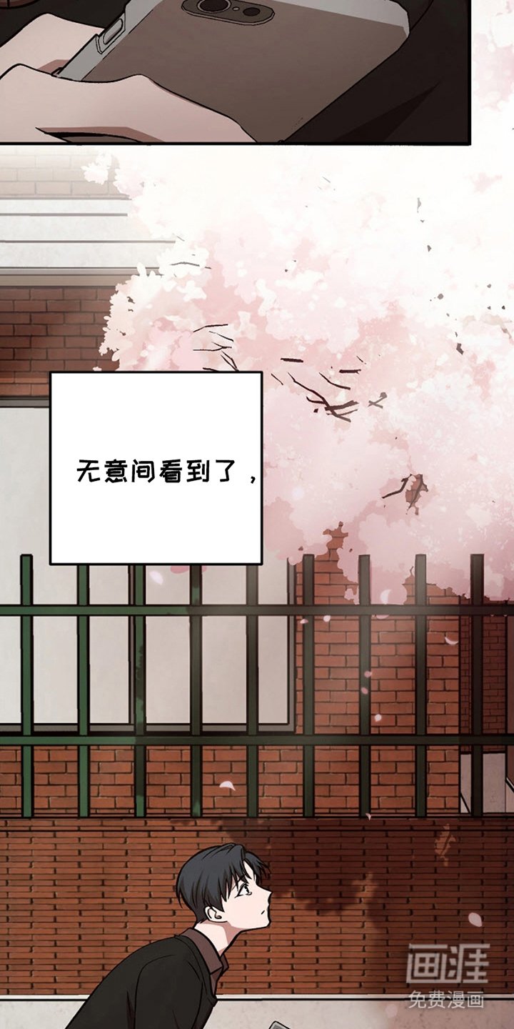 第13章：看樱花