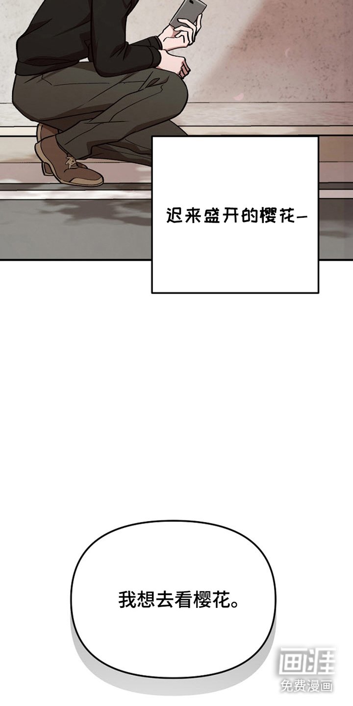 第13章：看樱花
