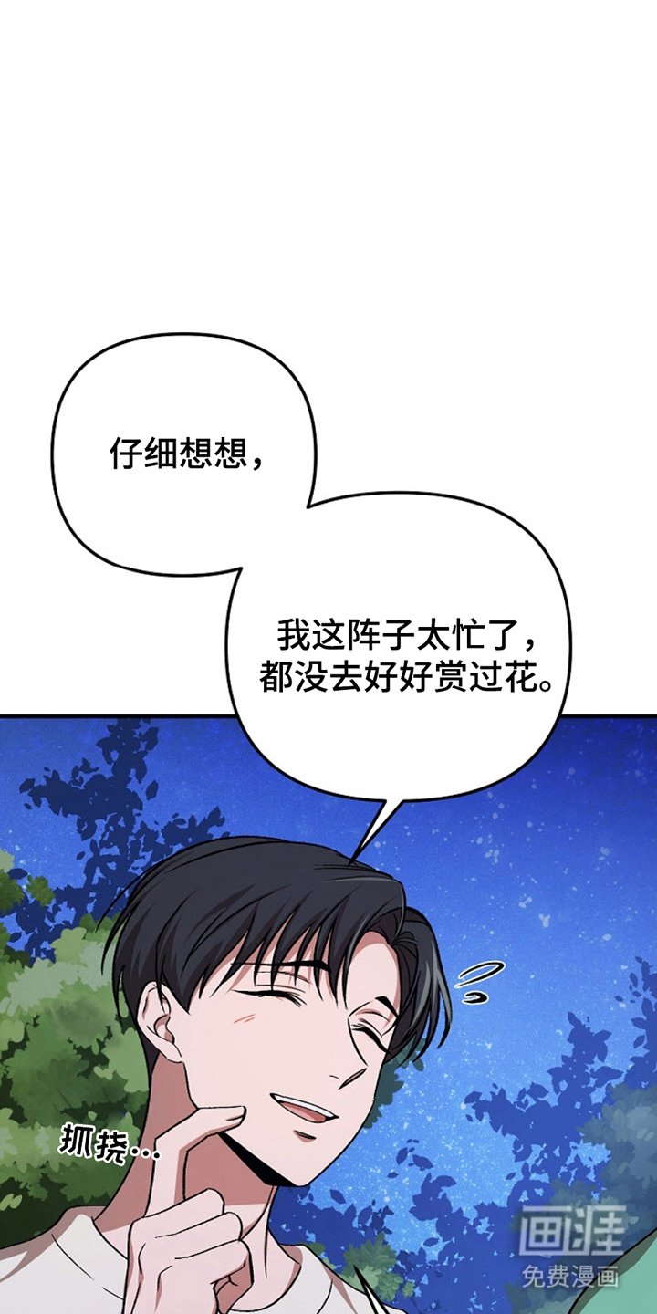 第13章：看樱花