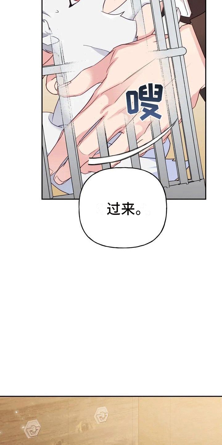 第1章：威胁